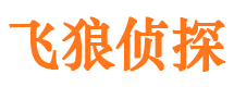 武冈侦探